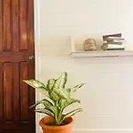 Amimodobeachrooms