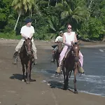 Tapirus Playa