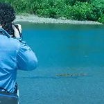 Tapirus Playa
