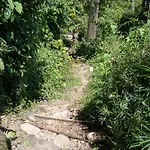 Osa De Rio
