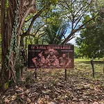 Spirit Of Jungle Lodge