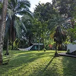 Spirit Of Jungle Lodge