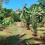 Corcovado Bungalows