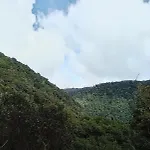 Miriam\'S Quetzals Lodge