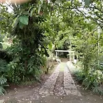Hotel Green Mountain Turrialba