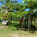 Miguel Surf Camp