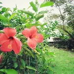 Bella Vista Corcovado