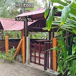 Gecko De Tortuguero