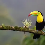 Casa Hacienda Jaguar