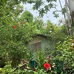 Casa Horizontes Corcovado