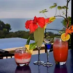 Tiki Villas Rainforest Lodge & Spa