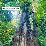 The Sloth Retreat & Studio Fortuna