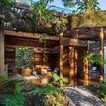 Botanika Osa Peninsula, Curio Collection By Hilton
