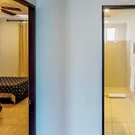 The Palms 501
