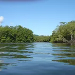 Isla Violin Eco-Lodge