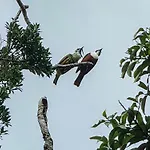 Monteverde House