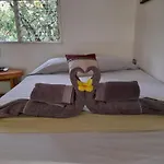 Hotel El Colibri Rojo - Cabinas - Le Colibri Rouge