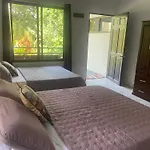 Villas En El Bosque