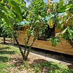 Finca Amistad Cacao Lodge