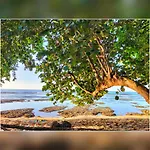 Cabinas Coconut Grove