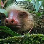 La Selva Biological Station