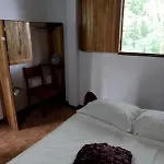 Gecko De Tortuguero