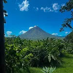 Arenal Roca Suites
