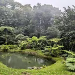 Olingo Monteverde