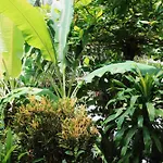 Akwa Santa Teresa