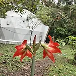 Refugio La Paz Ecoglamping