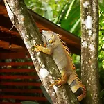 Aninga Lodge