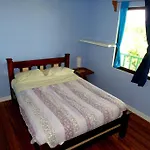 Casa Gatitos Big Whole House