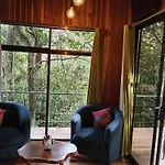 Jungle Living Tree Houses