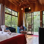 Jungle Living Tree Houses