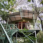 Jungle Living Tree Houses