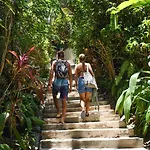 Funky Monkey Lodge