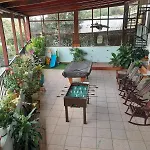 Natural Pacific Suites