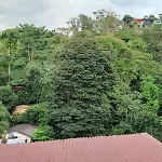 Natural Pacific Suites