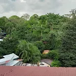 Natural Pacific Suites