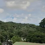 Natural Pacific Suites