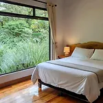 Olingo Monteverde