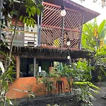 Organico Punta Riel