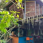 Organico Punta Riel