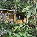 Casa Rio Blanco Eco Friendly B&B