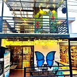 La Terraza Organica