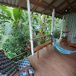 Casa Lina Sloth View Exotic Apartment With Privat Kitchen