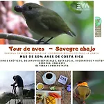 Eya Ecolodge