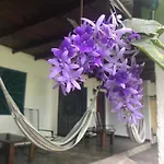 El Pargo Feliz