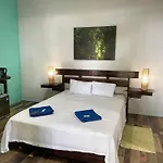 Casa Turtle Bogue