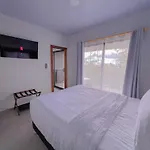 Monstera Apartments Monteverde